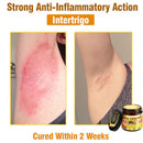 𝐁𝐞𝐞 𝐕𝐞𝐧𝐨𝐦 𝐀𝐥𝐥-𝐢𝐧-𝐎𝐧𝐞 𝐂𝐫𝐞𝐚𝐦